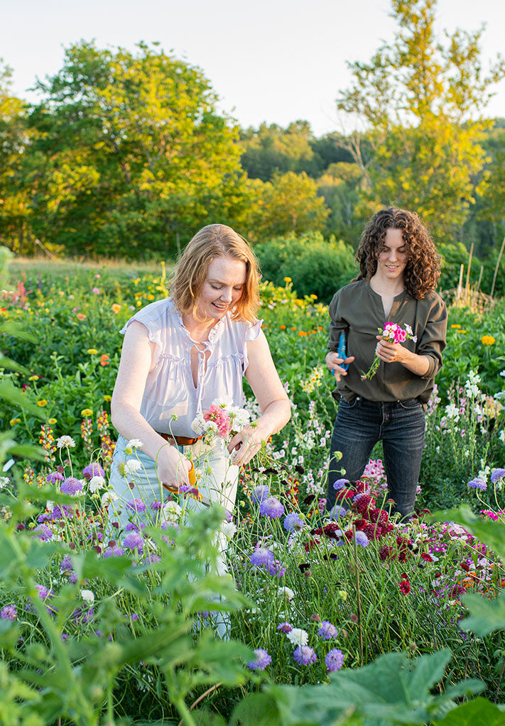 English Cottage Garden Inspiration