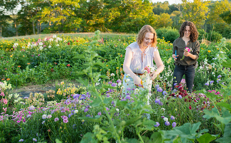 English Cottage Garden Inspiration