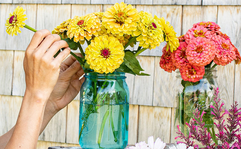 Heirloom Flowers