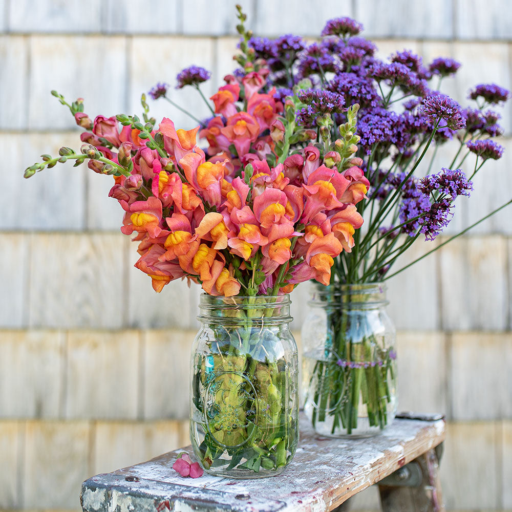 Plants for Cut Flowers