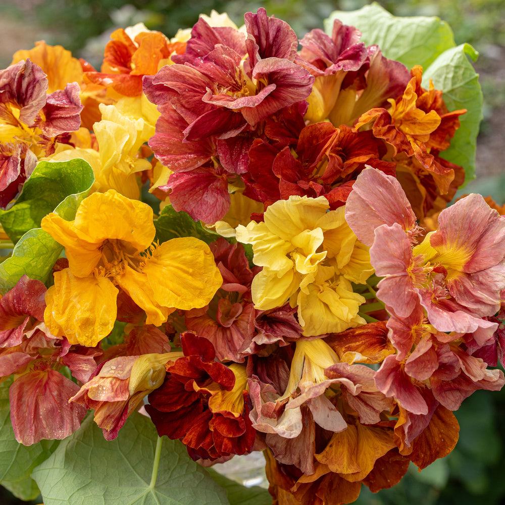 Burnished Bronze Flowers