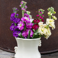 Stock 'Anytime Mix'