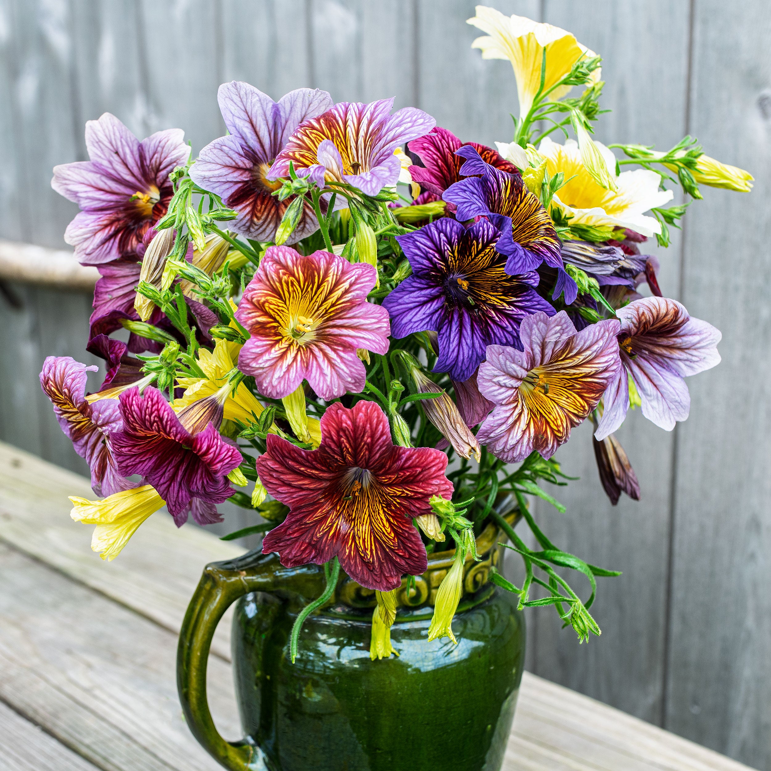 2023-2-2500_e4c84737-8bba-493f