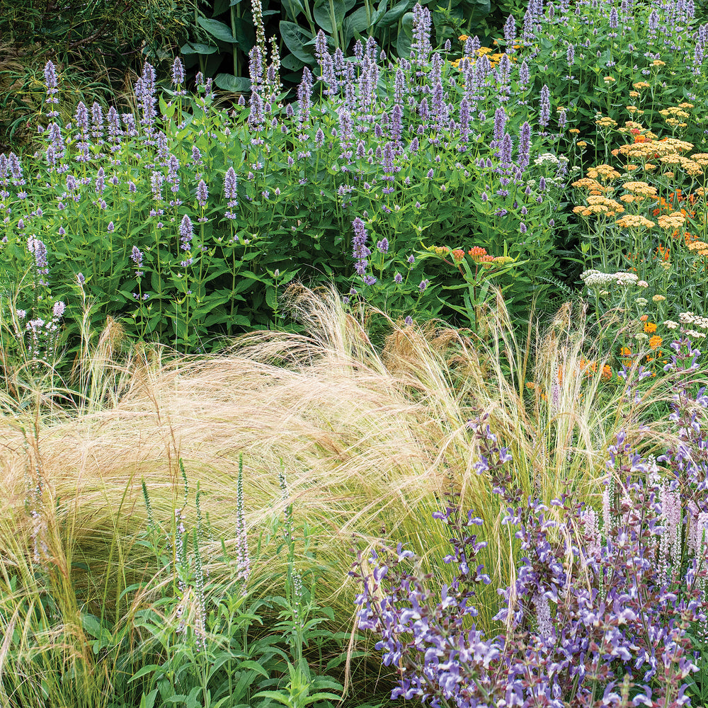 Grass - Feather 'Pony Tails'