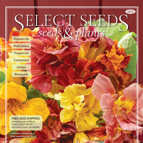 
    



Select Seeds Print Catalog
