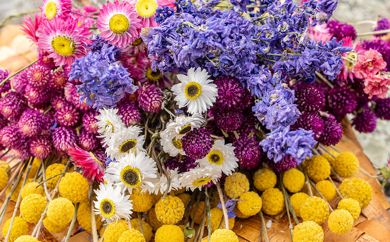Flowers for Dried Arrangements