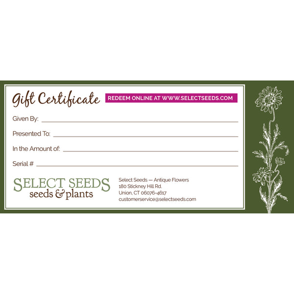 
    



Gift Card
