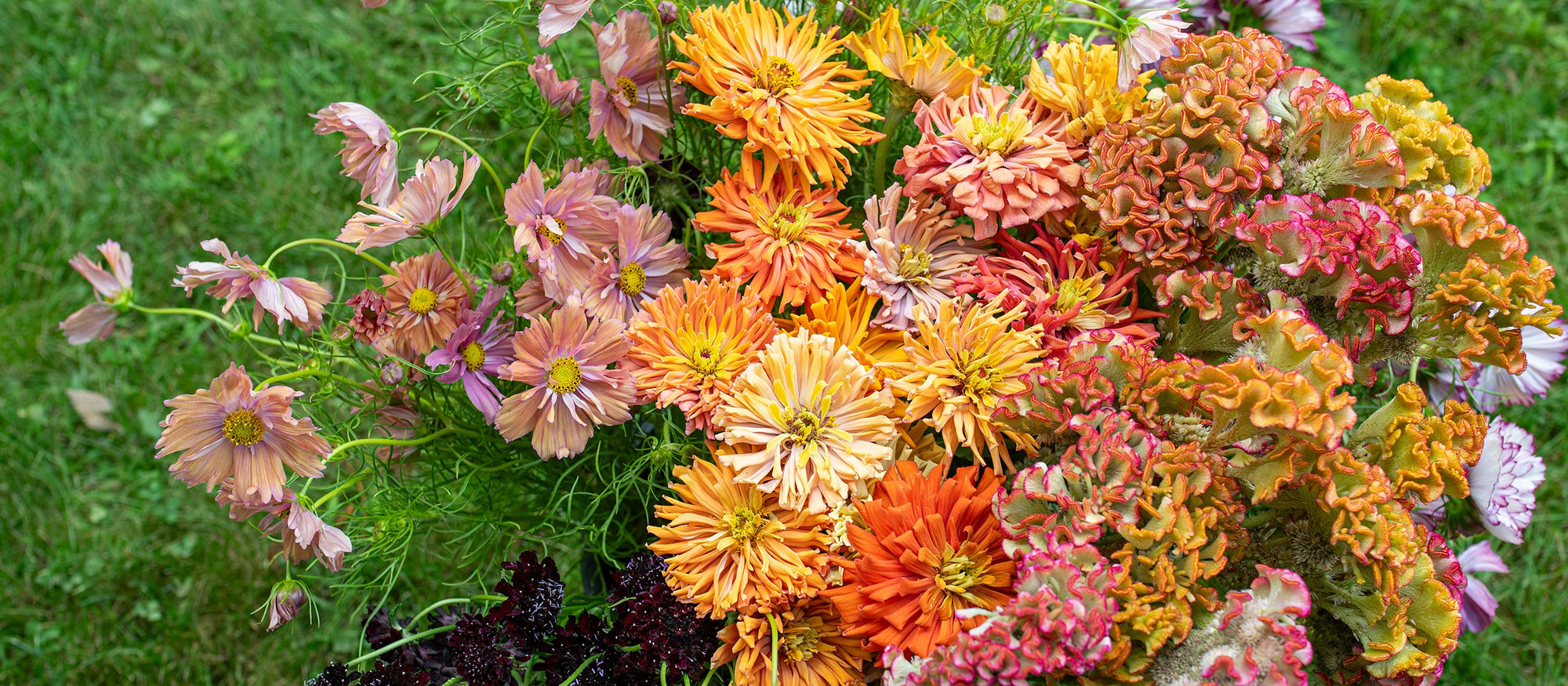 Our 2026 catalog is coming soon!