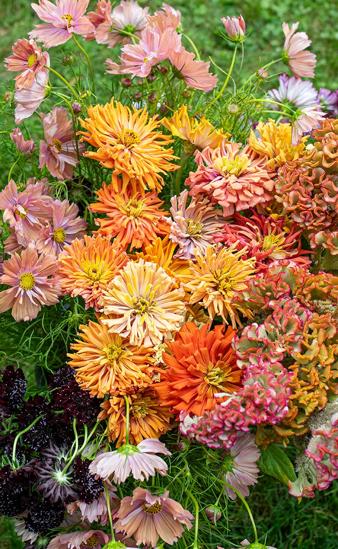 Our 2026 catalog is coming soon!