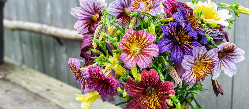 Our 2026 catalog is here!