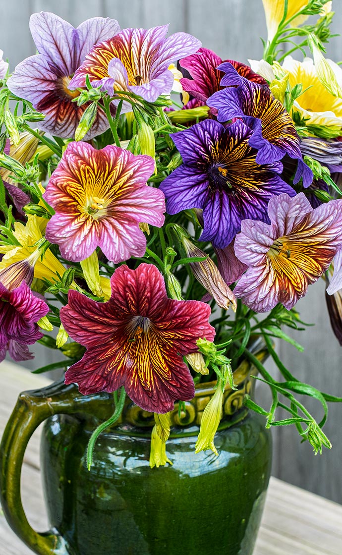 Our 2026 catalog is here!