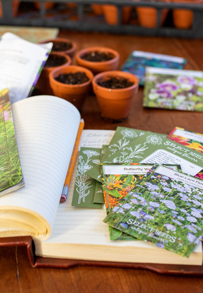 Seed Sowing Guide