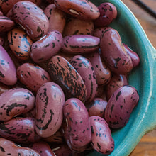 Runner Bean 'Scarlet'